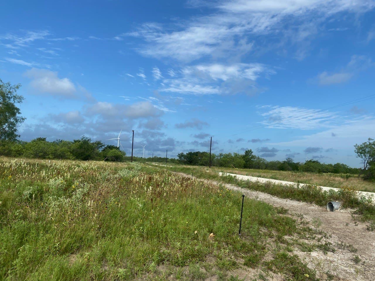 10.1 acres in Hill County gallery image 2