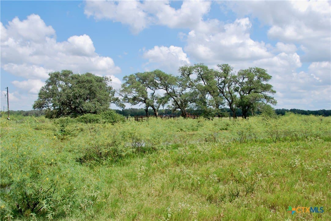 83 acres in Lavaca County gallery image 4