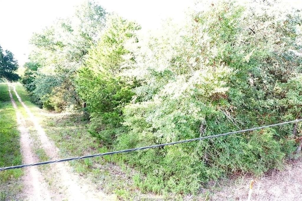 0.26 acres in Leon County featured view