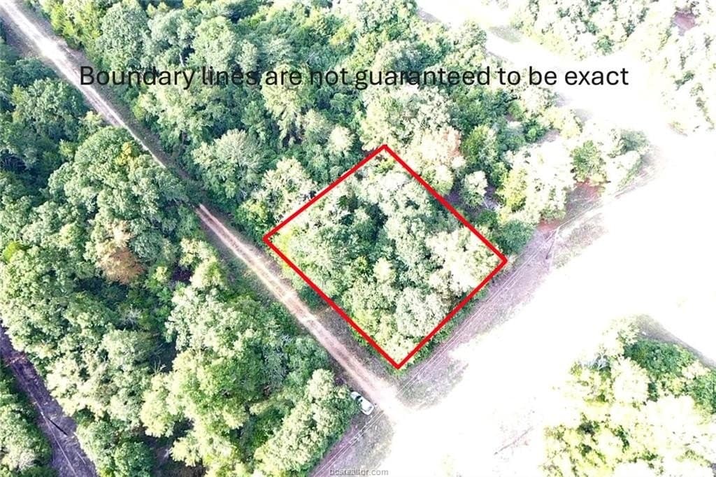 0.26 acres in Leon County - photo 8