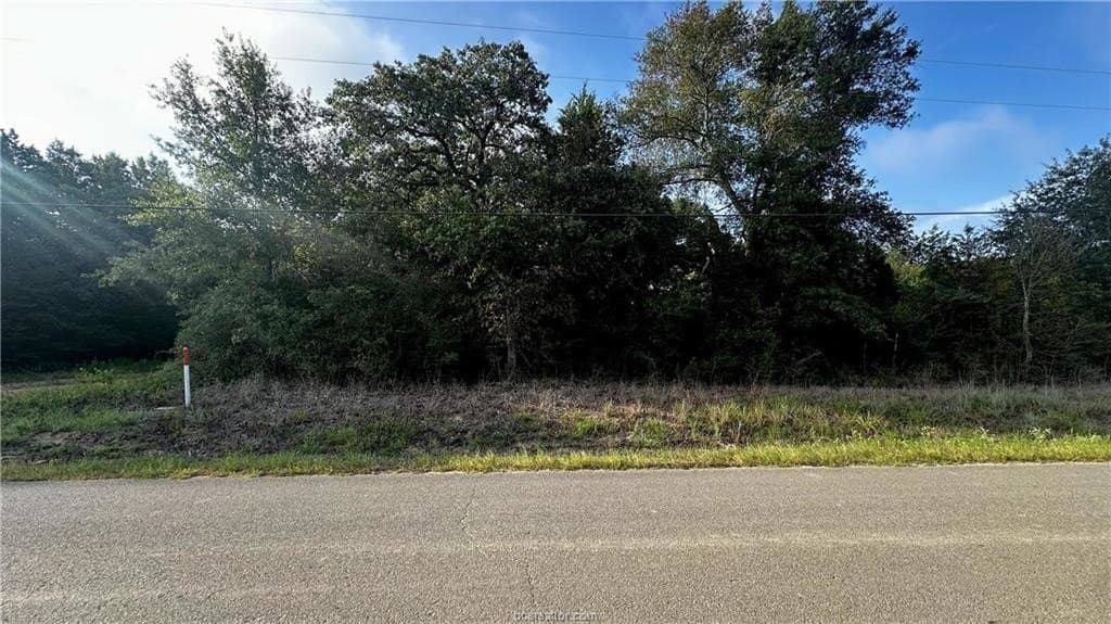 0.26 acres in Leon County gallery image 3