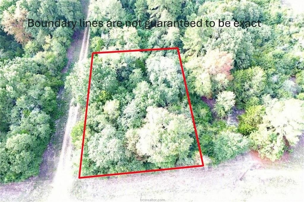 0.26 acres in Leon County - photo 9