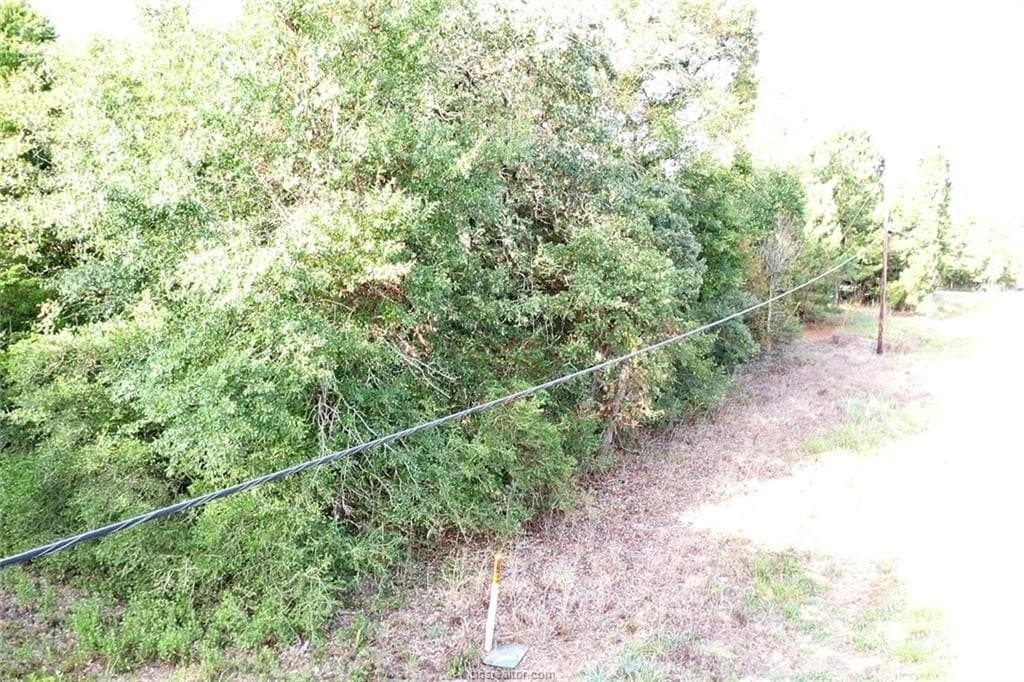 0.26 acres in Leon County gallery image 4