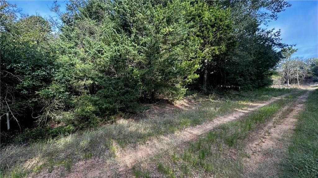 0.26 acres in Leon County gallery image 2