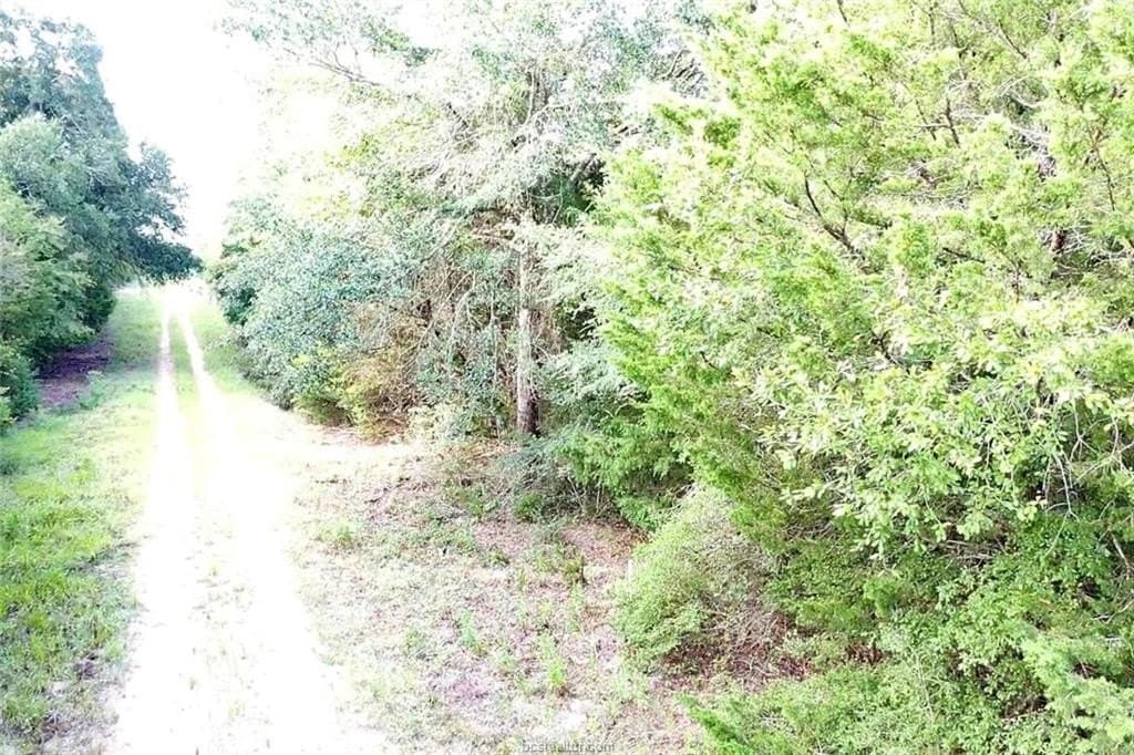 0.26 acres in Leon County - photo 6