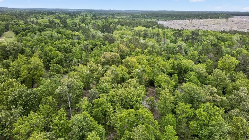 12.36 acres in Texas County - photo 37