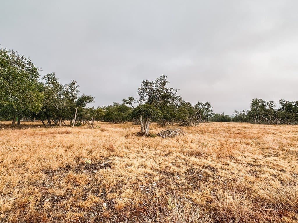 4.3 acres in Gillespie County - photo 7