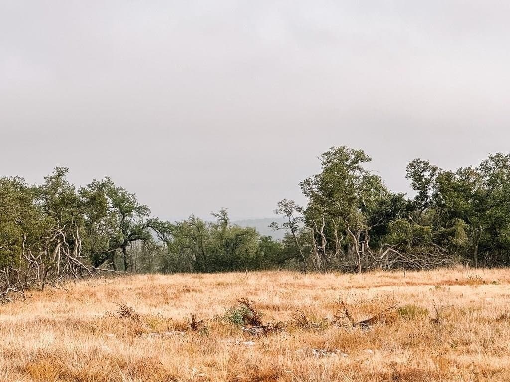 4.3 acres in Gillespie County gallery image 2