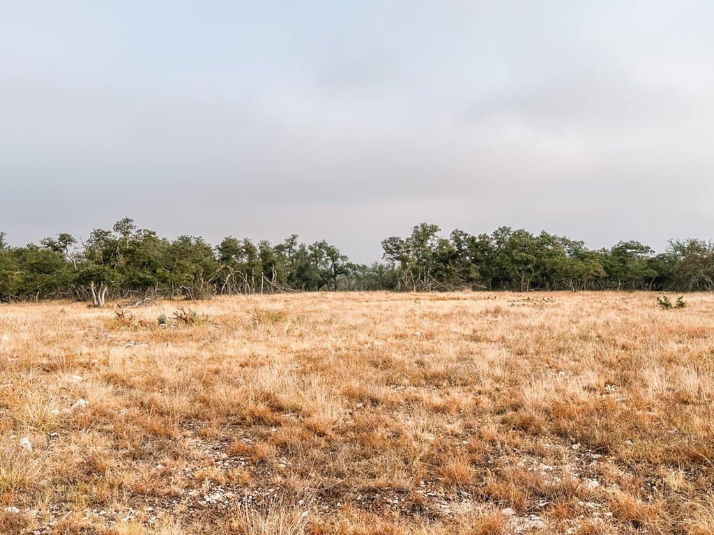 4.3 acres in Gillespie County - photo 9