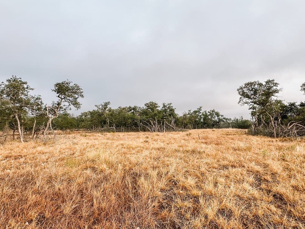 4.3 acres in Gillespie County - photo 8