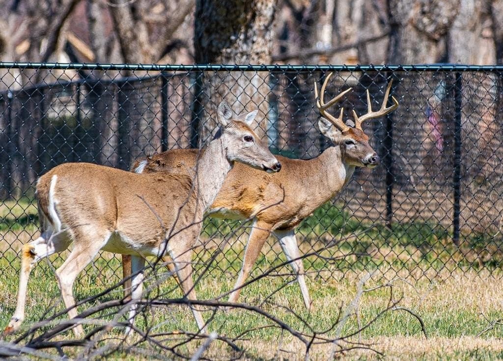 1.43 acres in Hood County featured view