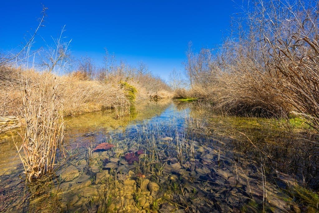 10.3 acres in Gillespie County gallery image 4