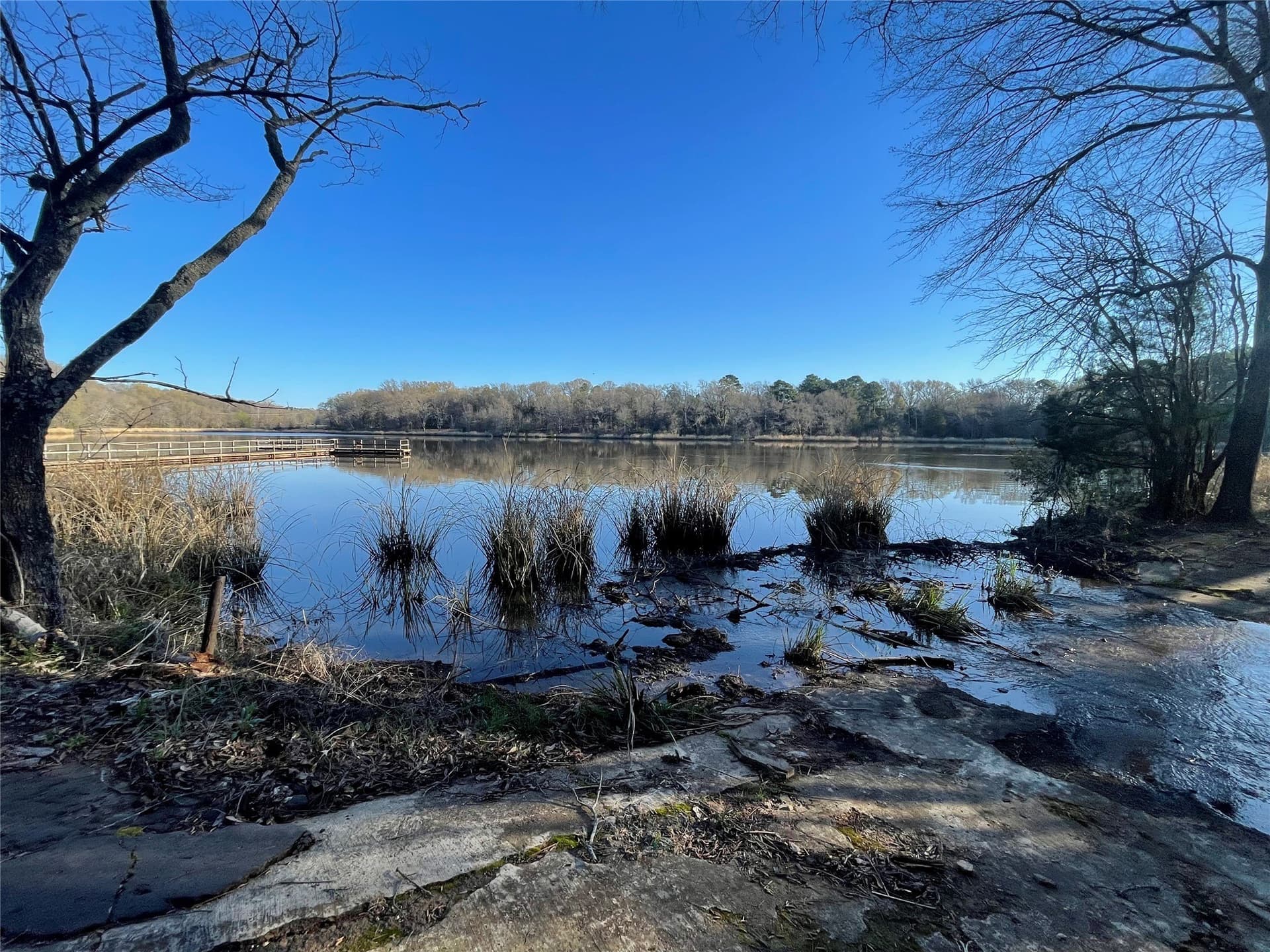 2.43 acres in Wood County - photo 4
