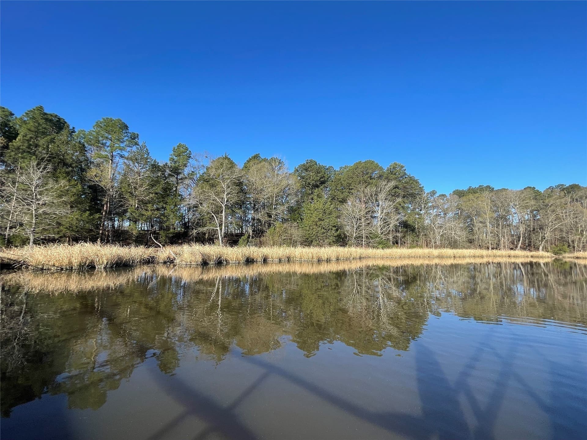 2.43 acres in Wood County - photo 5