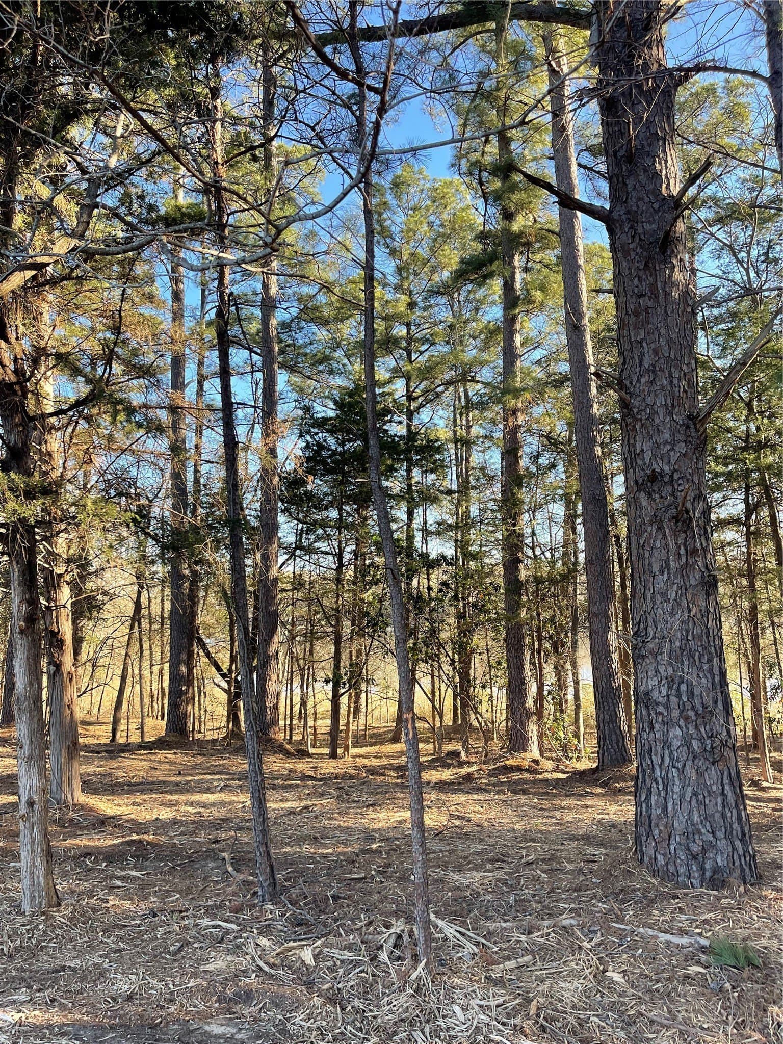 2.43 acres in Wood County - photo 11