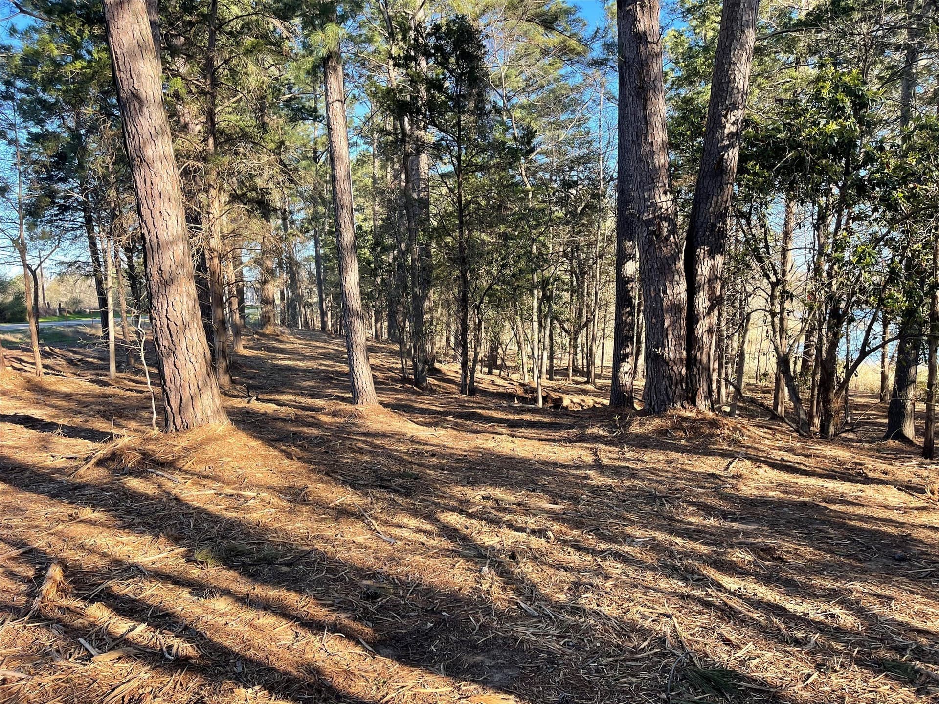 2.43 acres in Wood County - photo 9