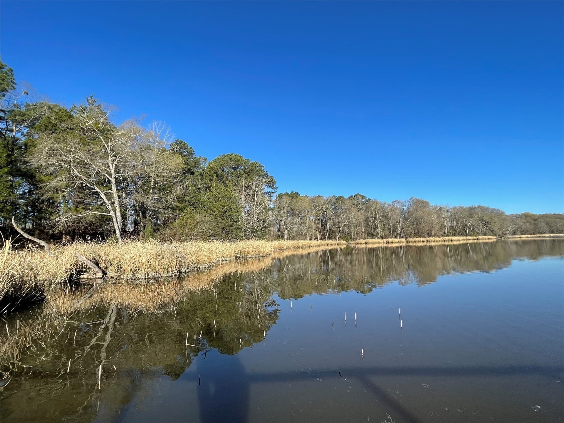 2.43 acres in Wood County - photo 15