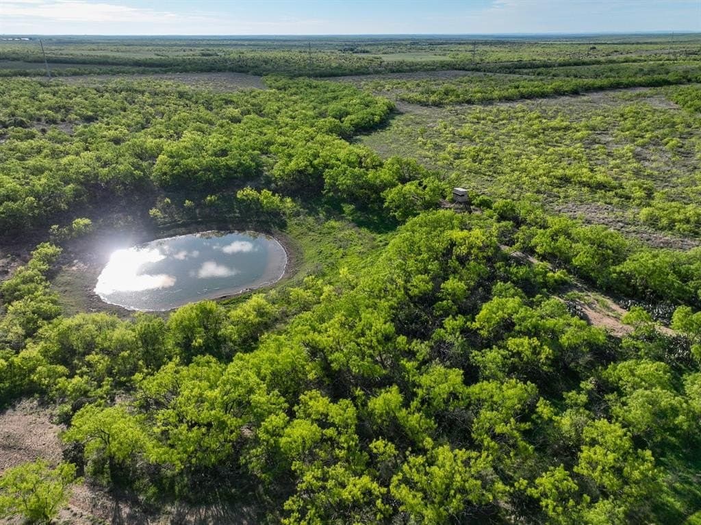 1,090 acres in Coleman County gallery image 4