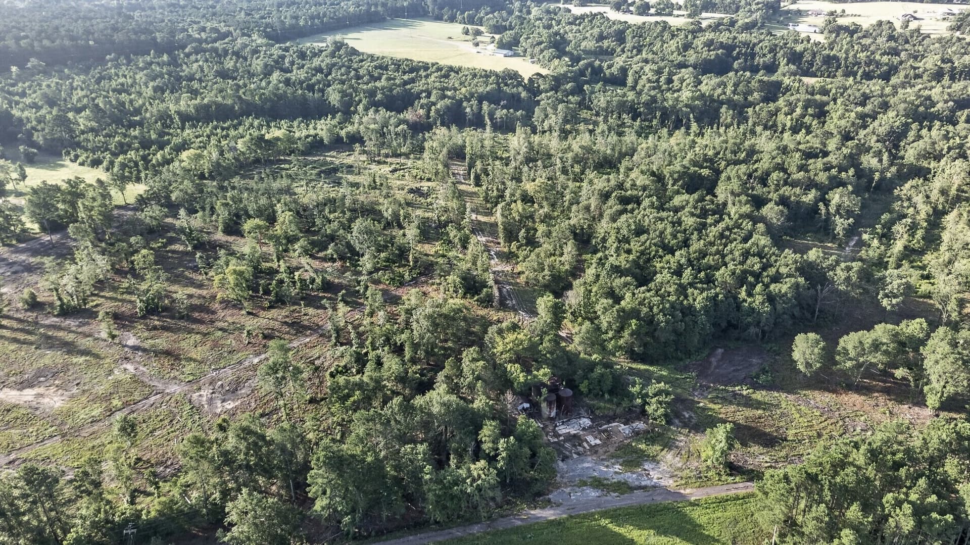42 acres in Smith County - photo 5