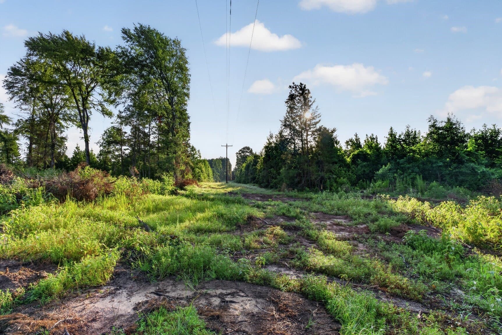 42 acres in Smith County - photo 7