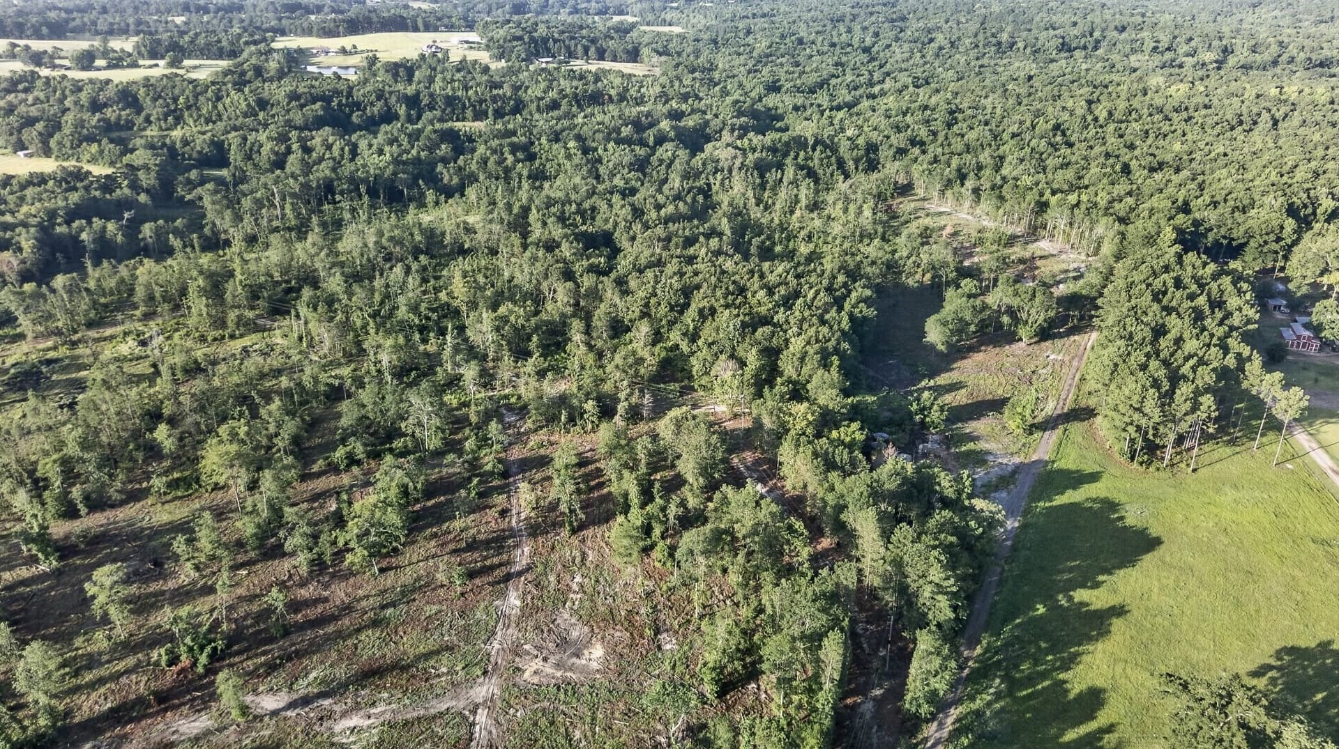 42 acres in Smith County - photo 4