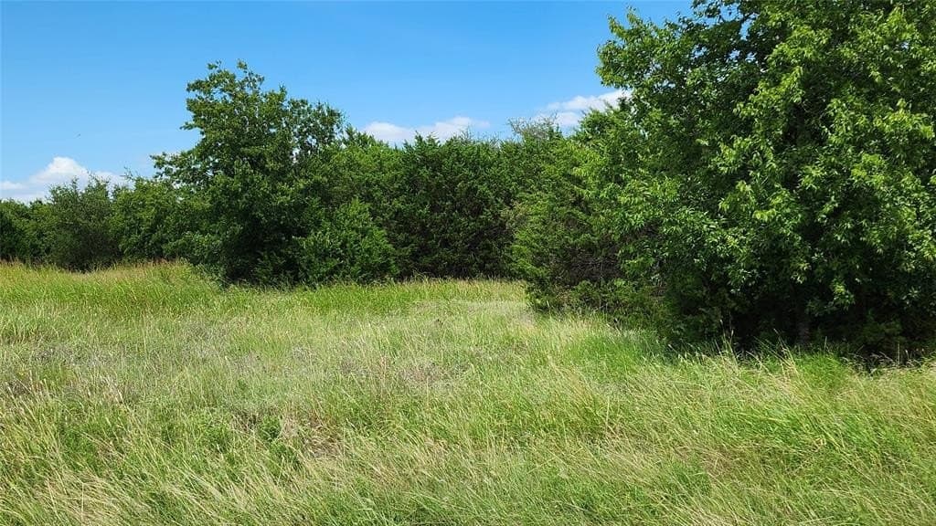 5.2 acres in Bosque County gallery image 2
