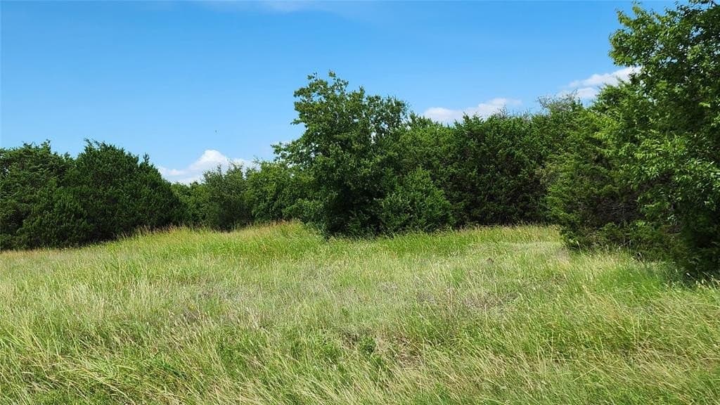 5.2 acres in Bosque County gallery image 4