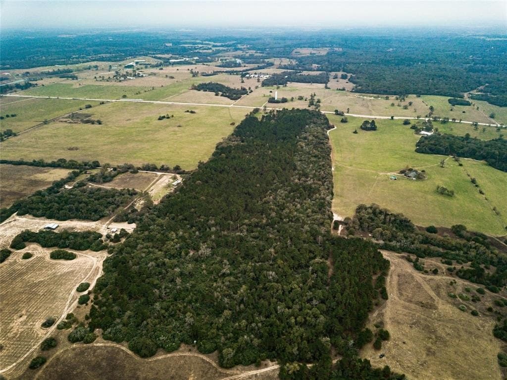 45.97 acres in Leon County