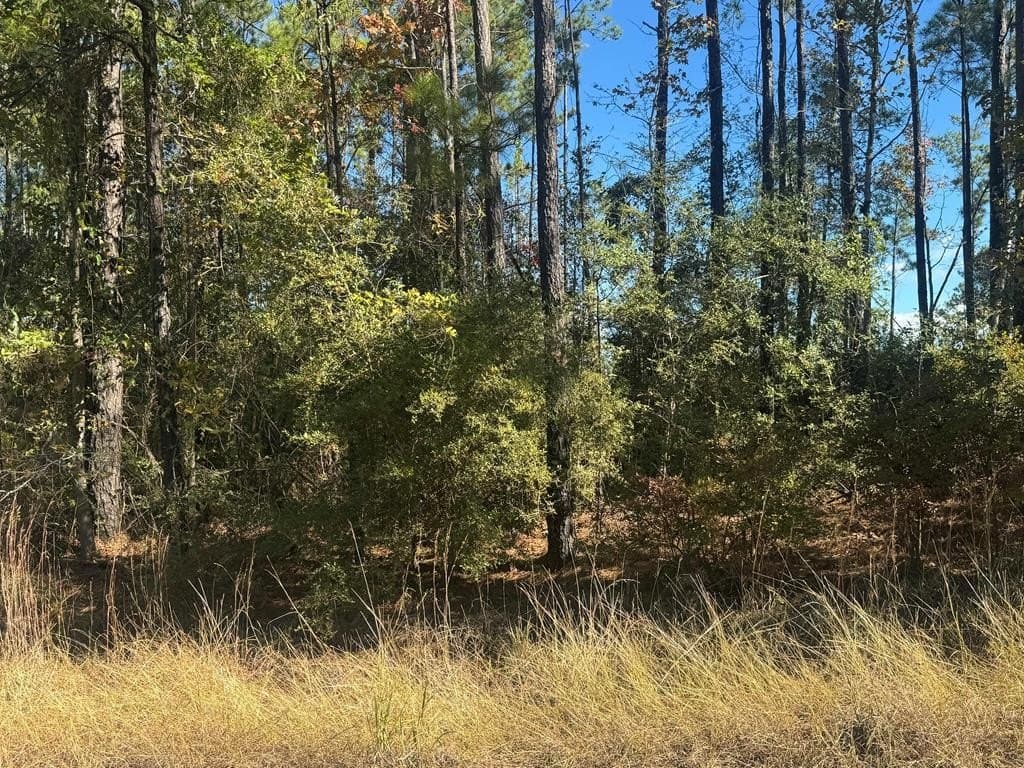 1.06 acres in Texas County
