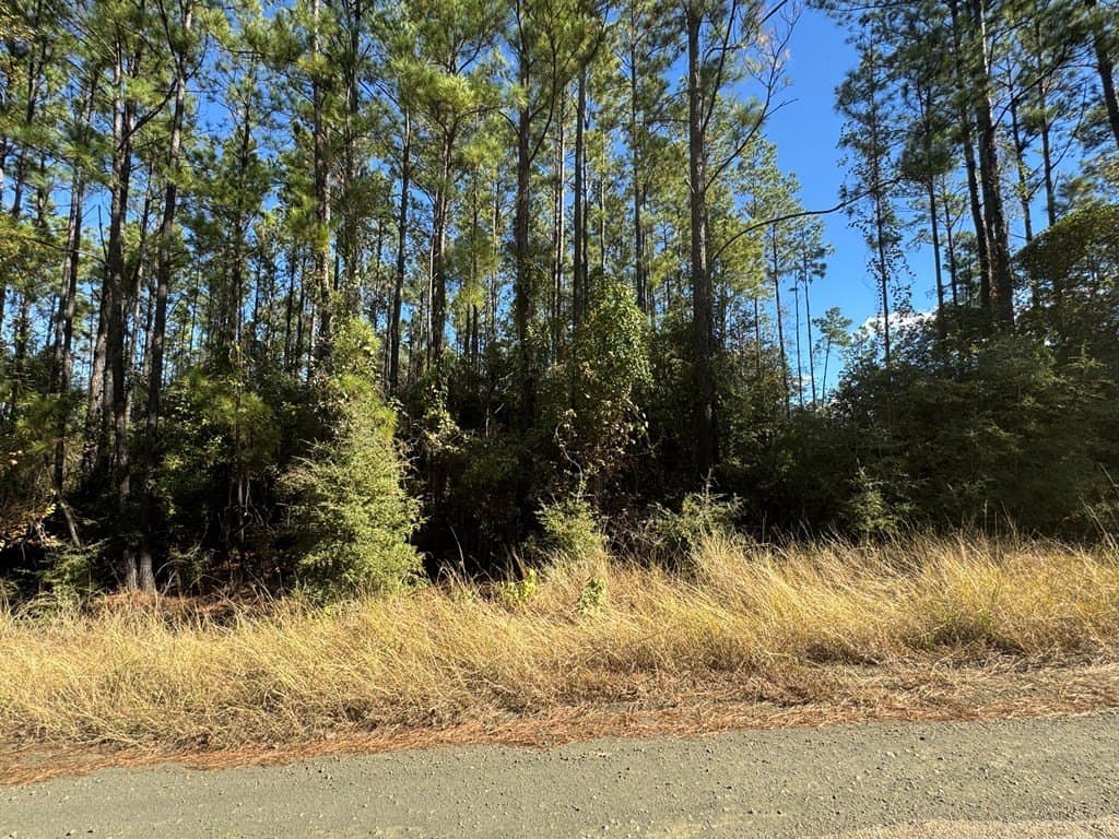 1.06 acres in Texas County - photo 7