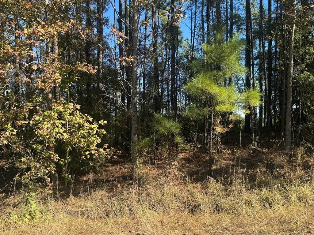 1.06 acres in Texas County - photo 9