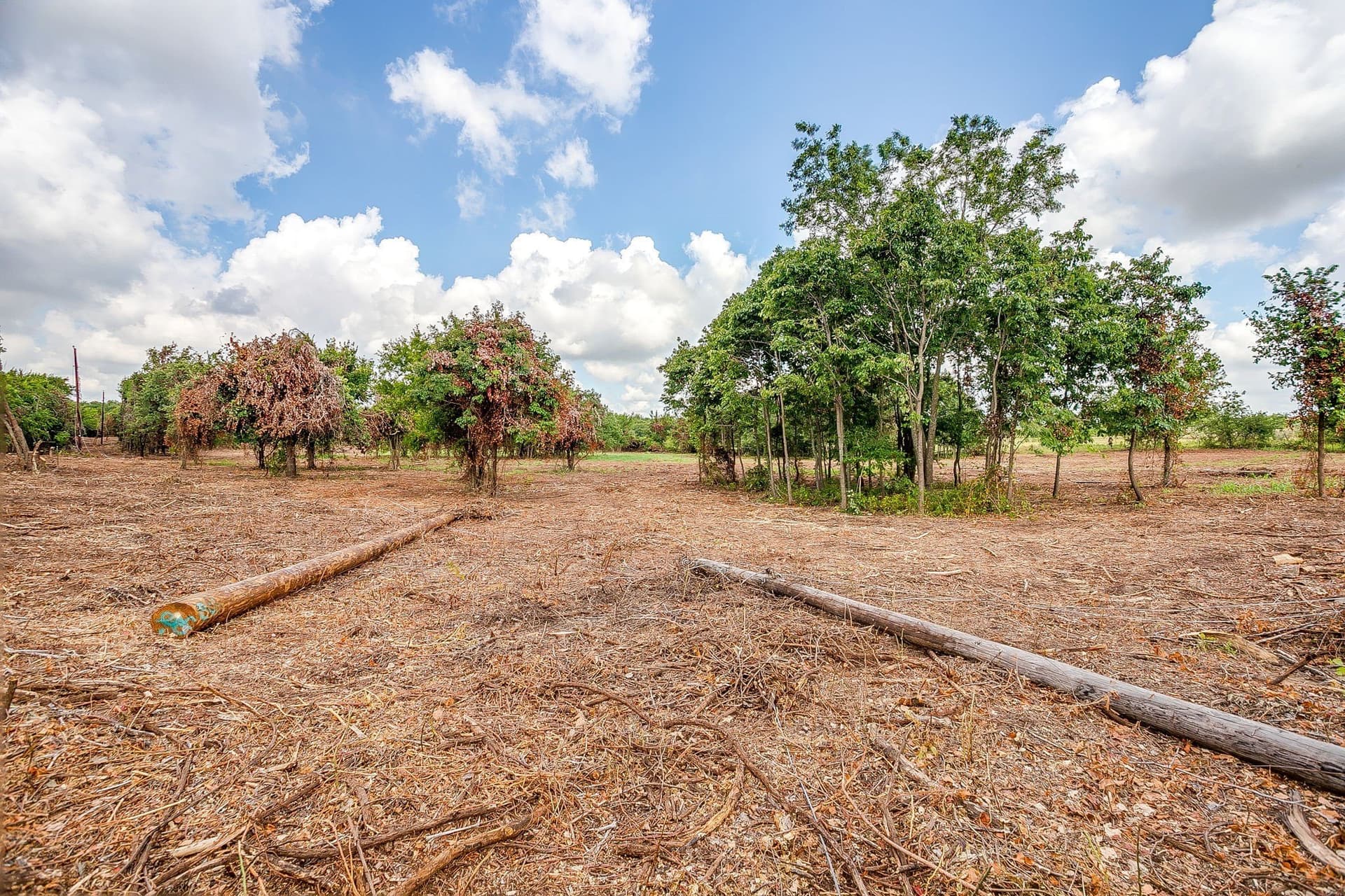 5 acres in Parker County - photo 9