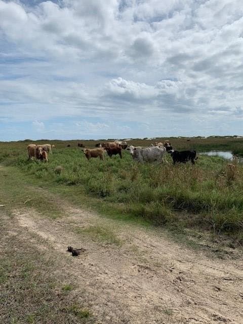 38.69 acres in Texas County featured view