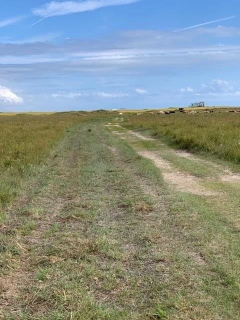 38.69 acres in Texas County gallery image 3