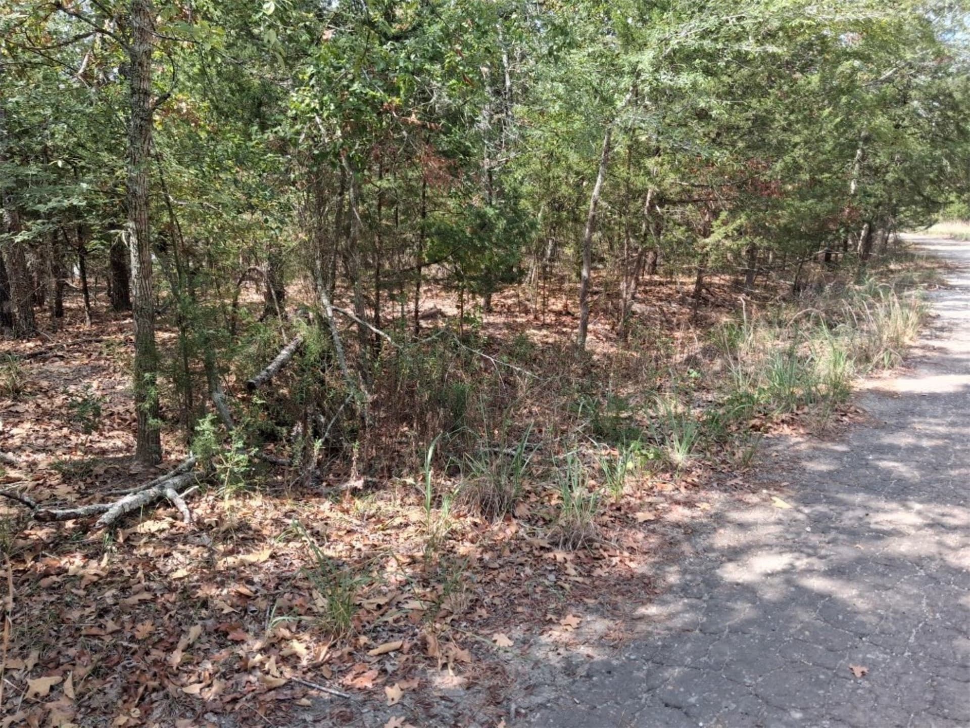 0.24 acres in Van Zandt County - photo 5