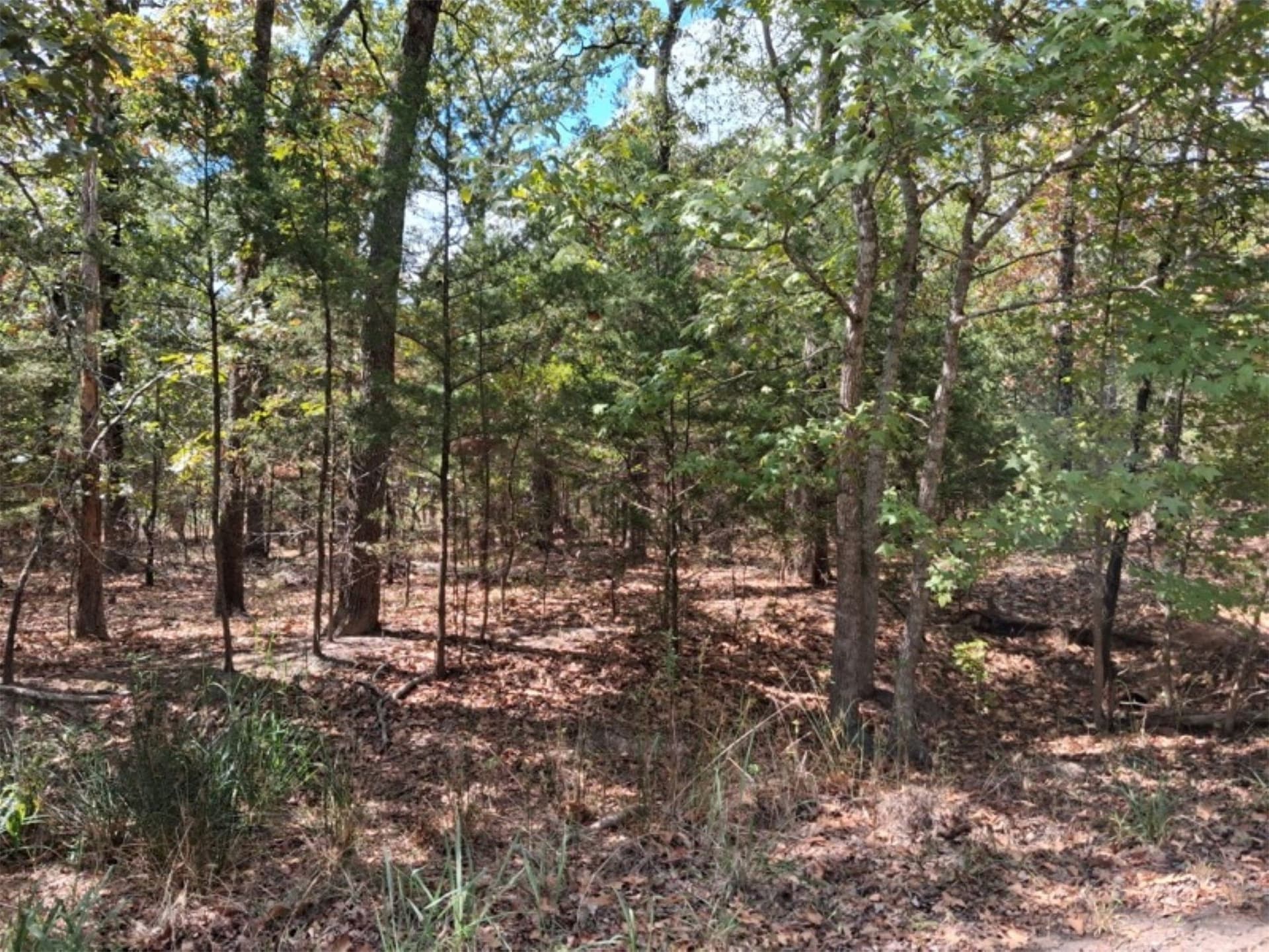 0.24 acres in Van Zandt County - photo 2
