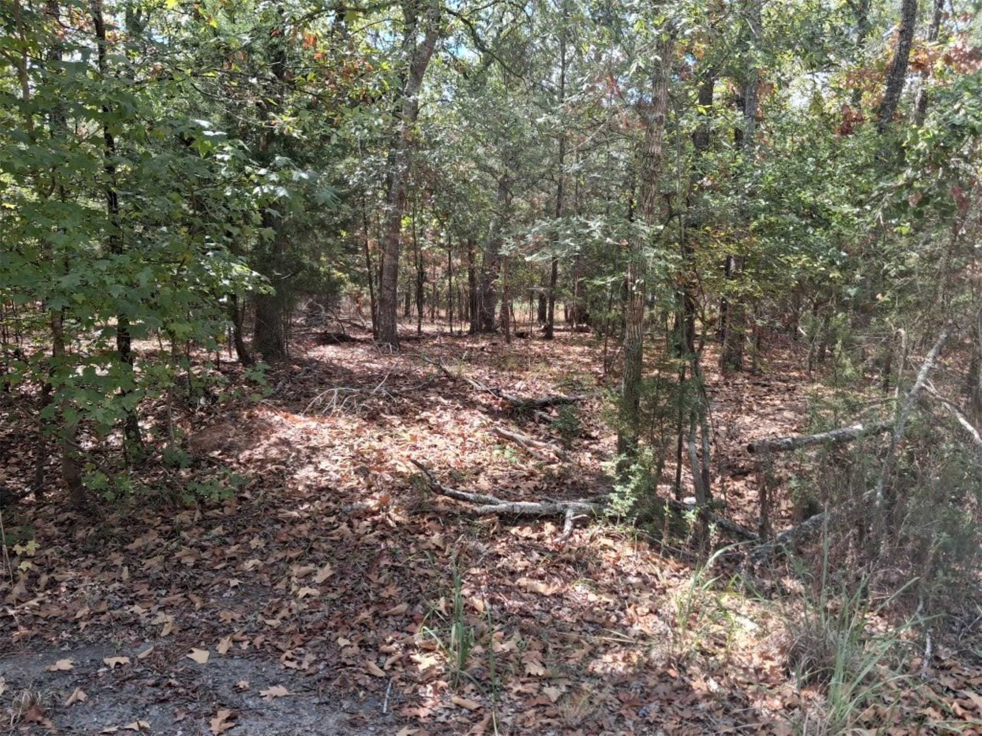 0.24 acres in Van Zandt County - photo 3