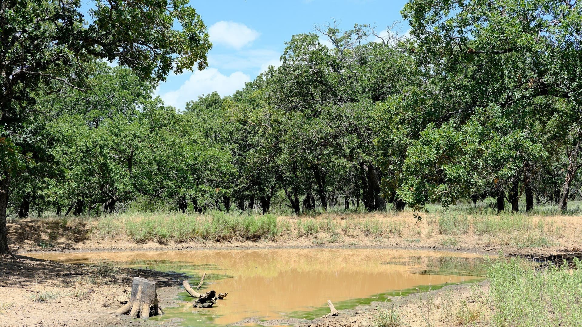 100 acres in Jack County - photo 22