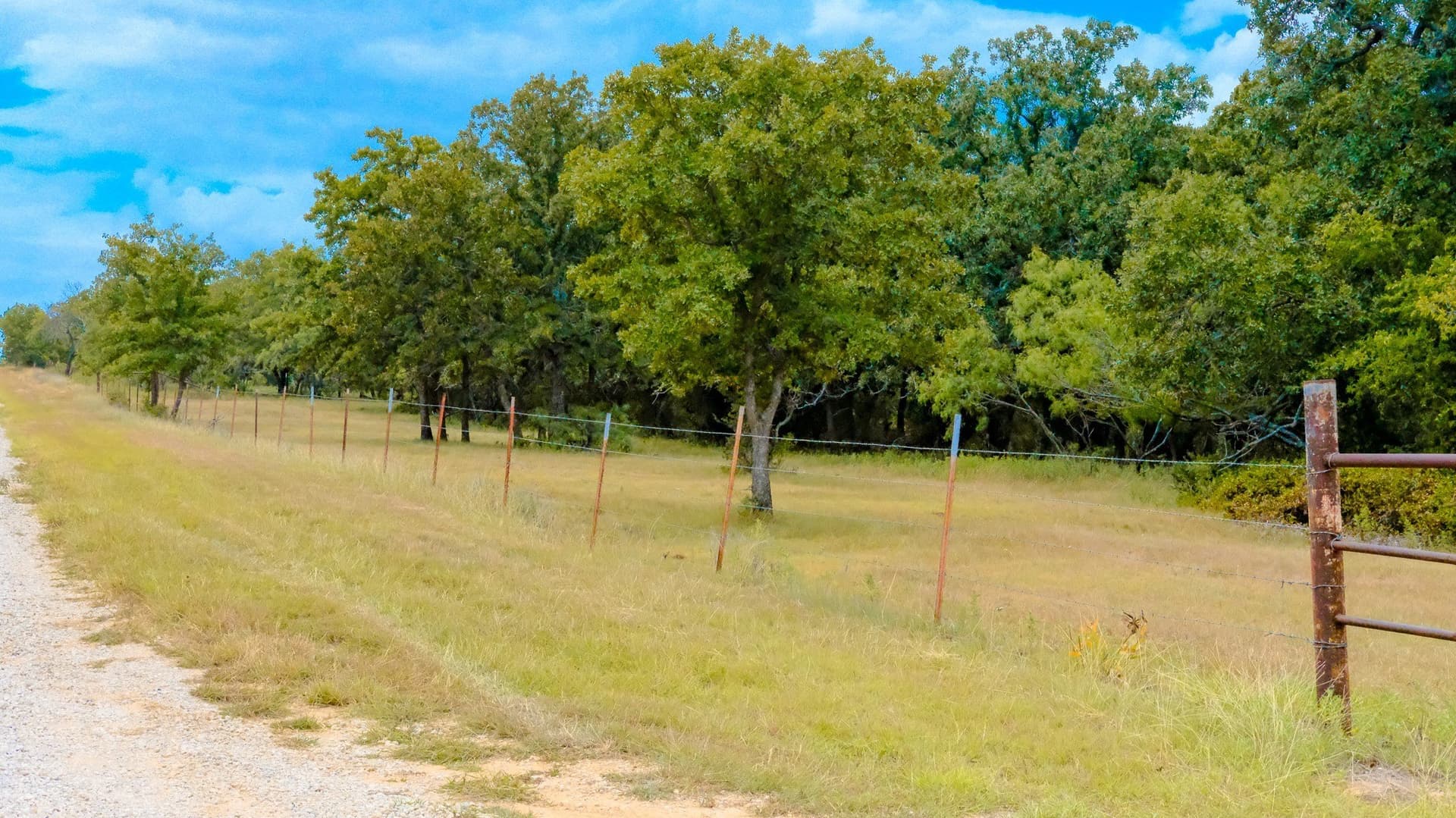100 acres in Jack County - photo 32