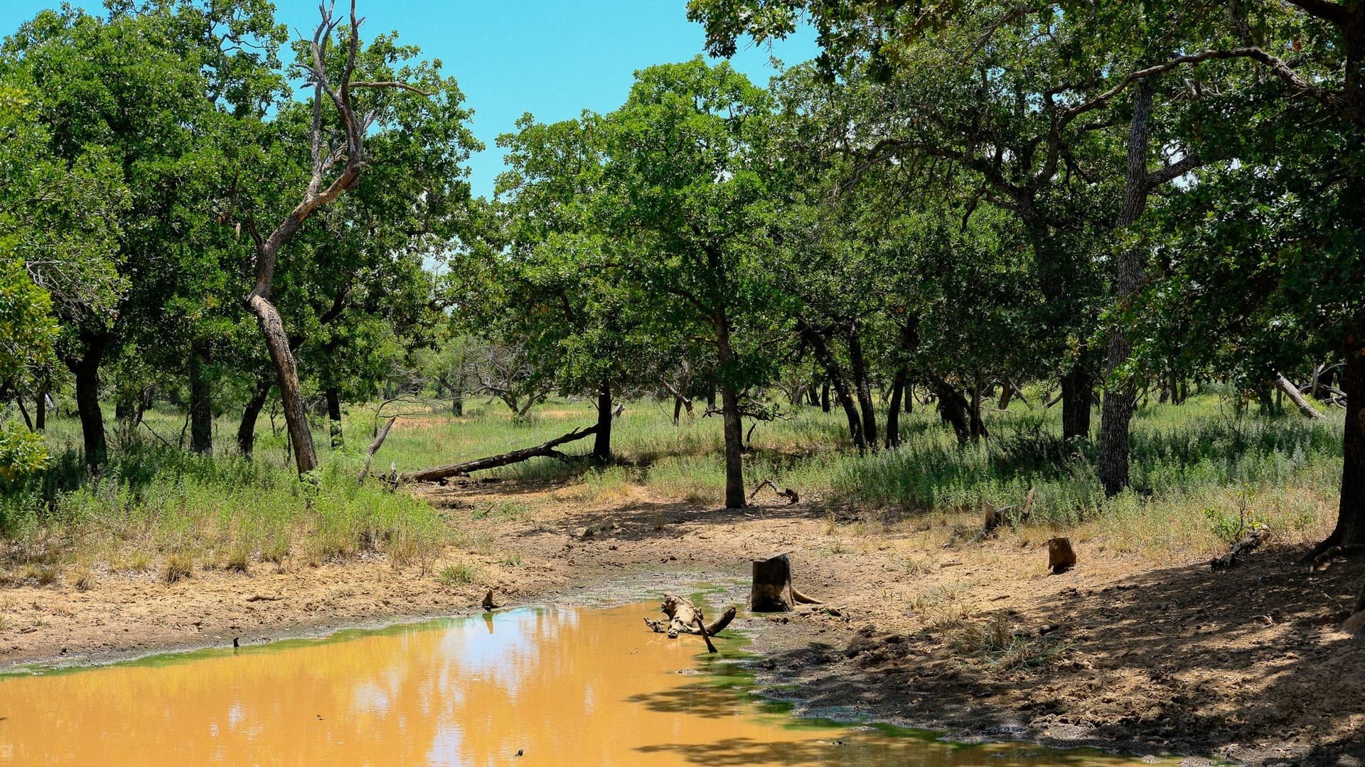 100 acres in Jack County - photo 14