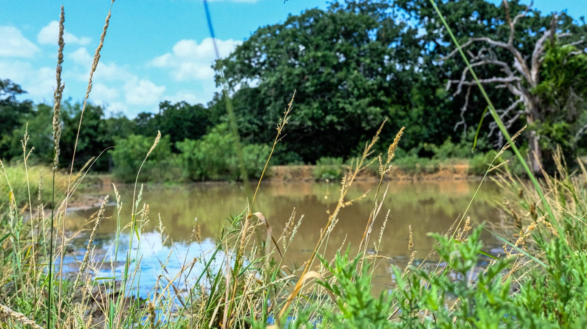 100 acres in Jack County - photo 4