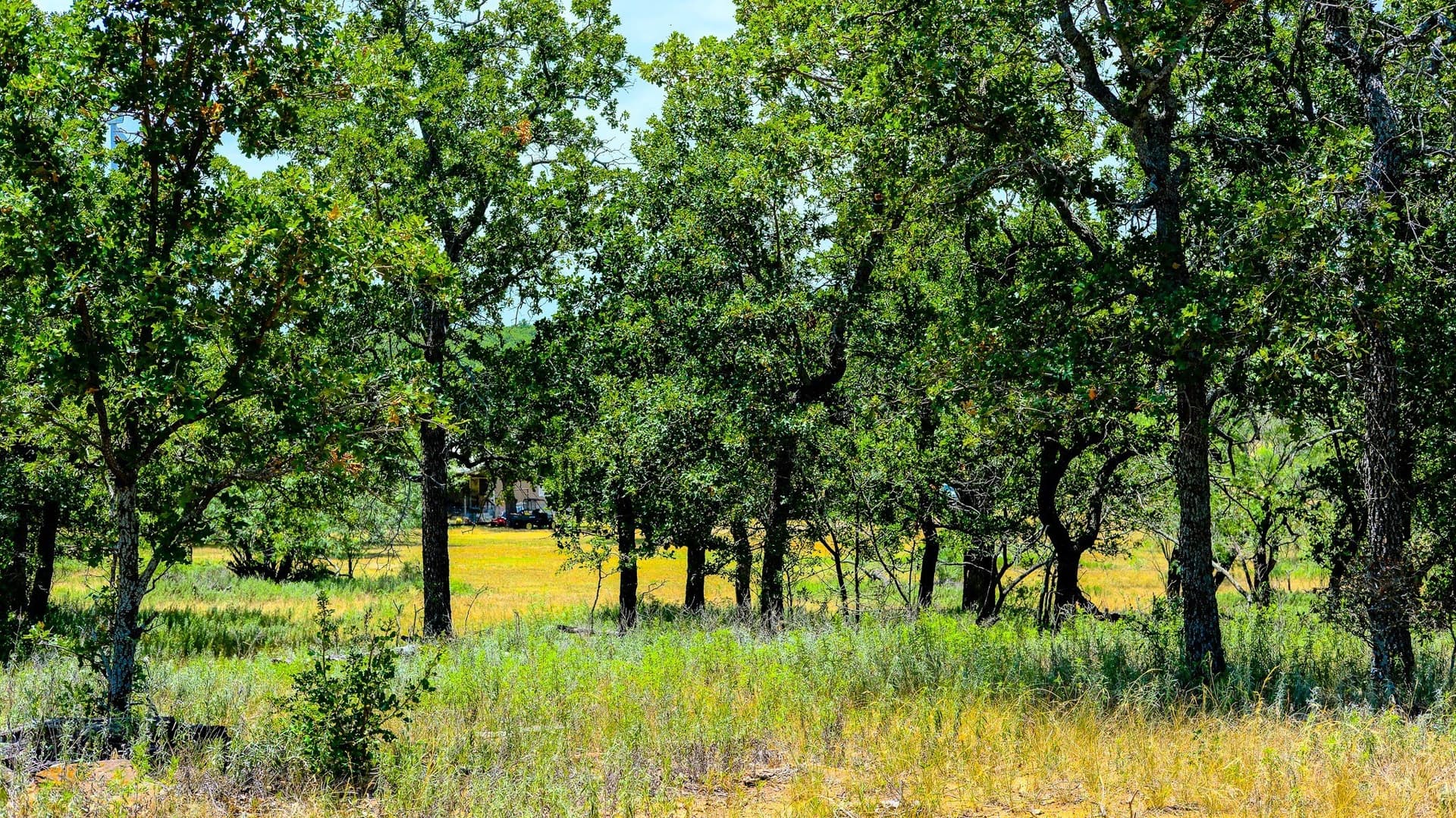 100 acres in Jack County - photo 2