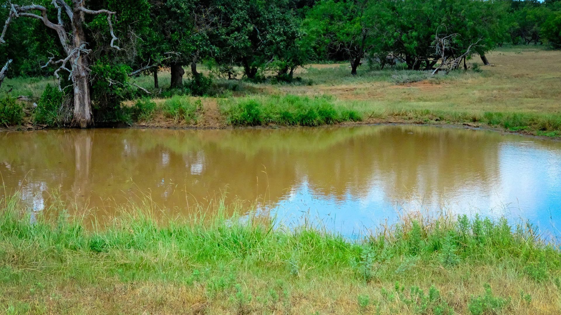 100 acres in Jack County - photo 3