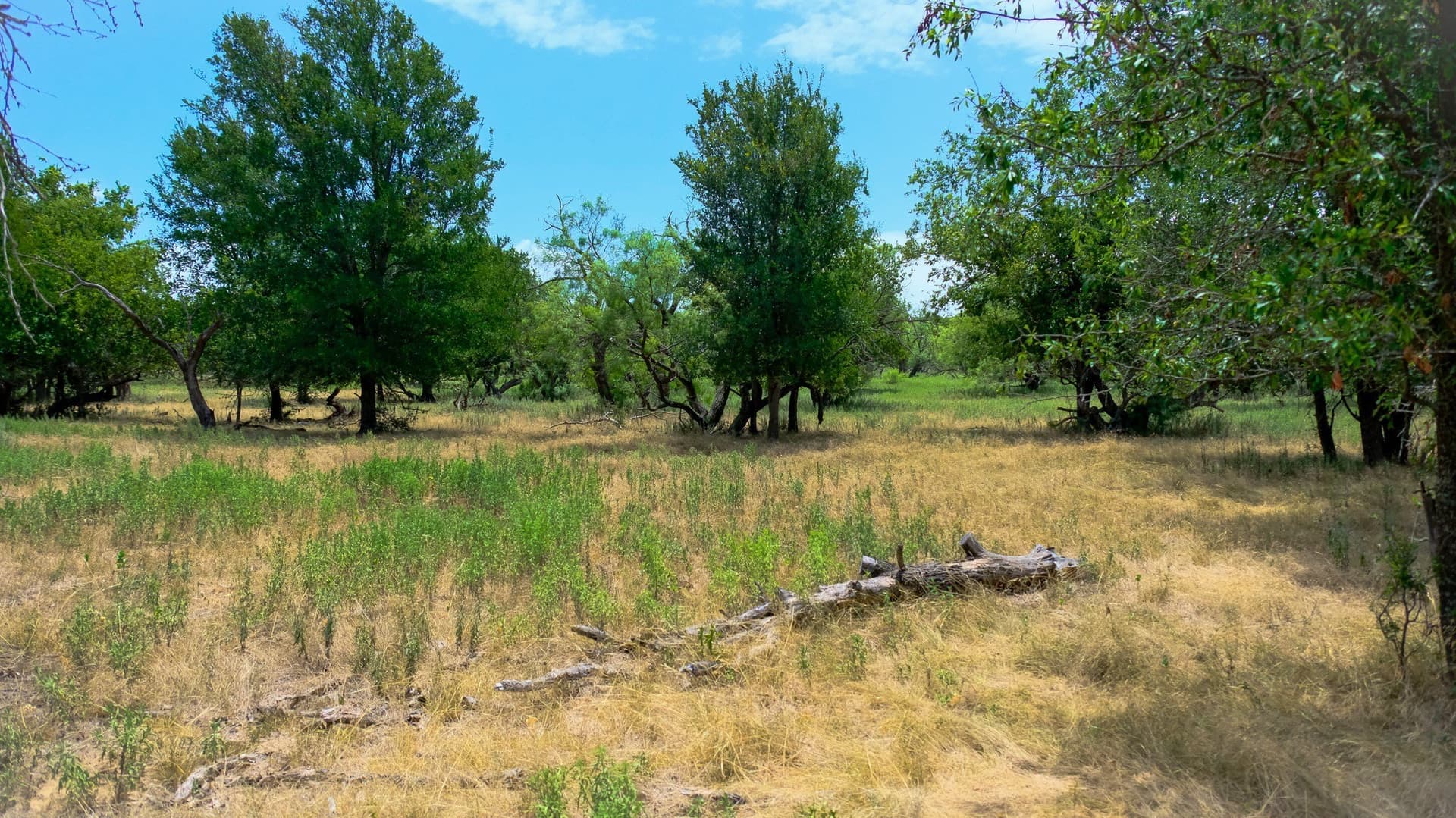 100 acres in Jack County - photo 11
