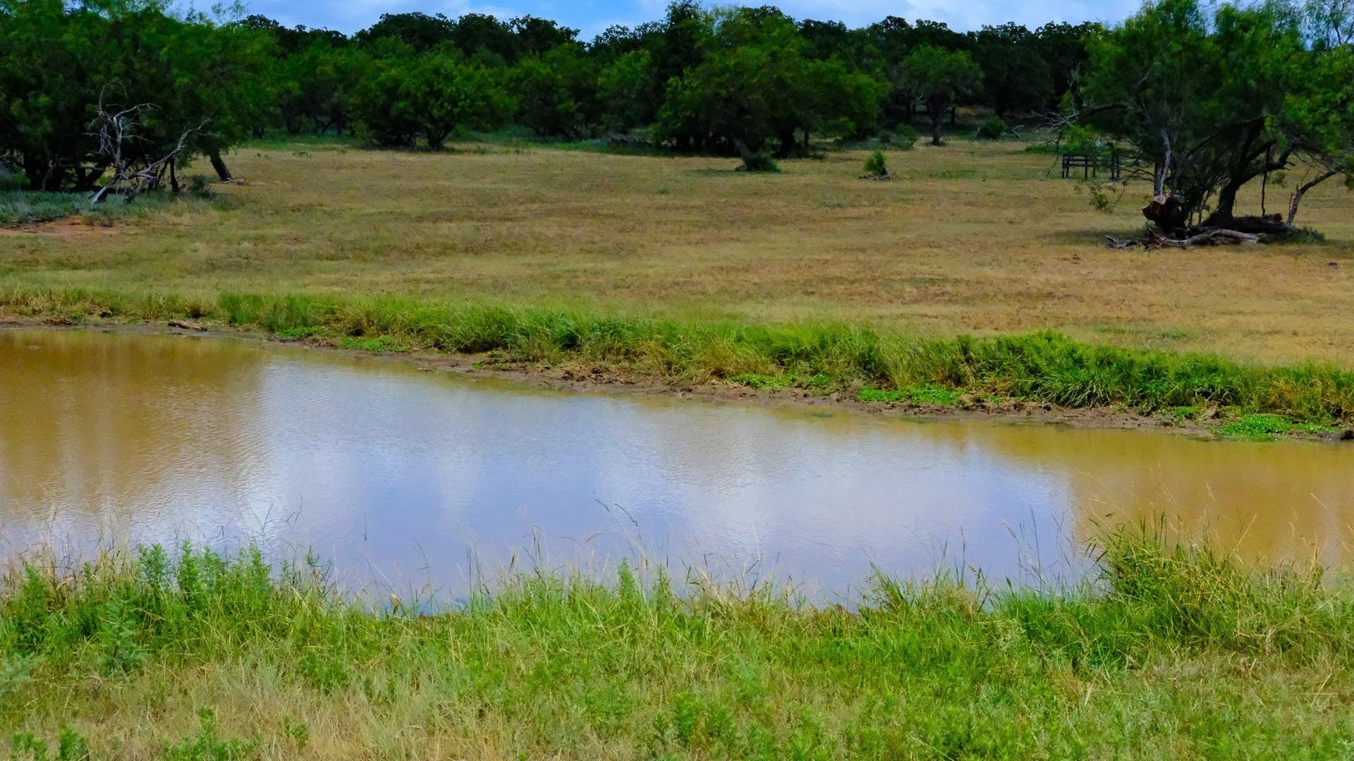 100 acres in Jack County - photo 28