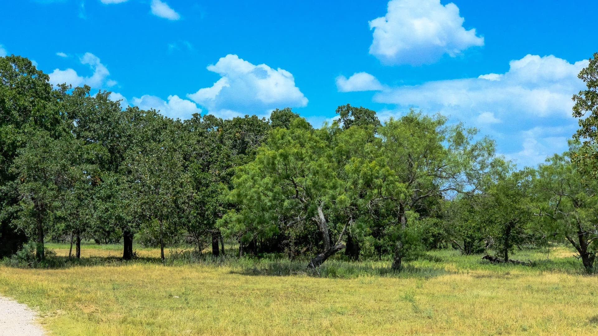 100 acres in Jack County - photo 27