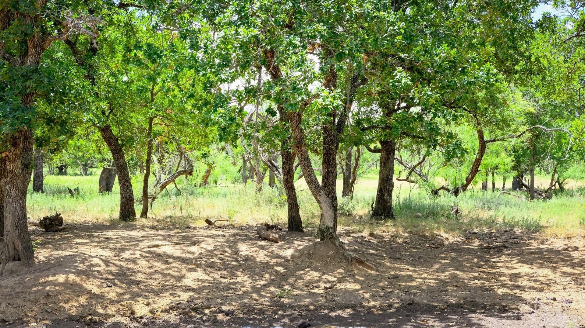 100 acres in Jack County - photo 13