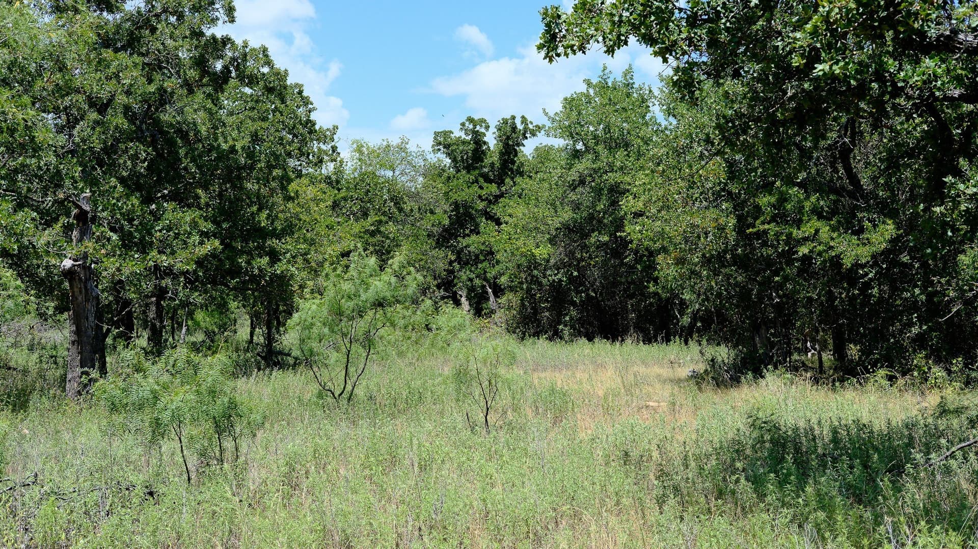 100 acres in Jack County - photo 20