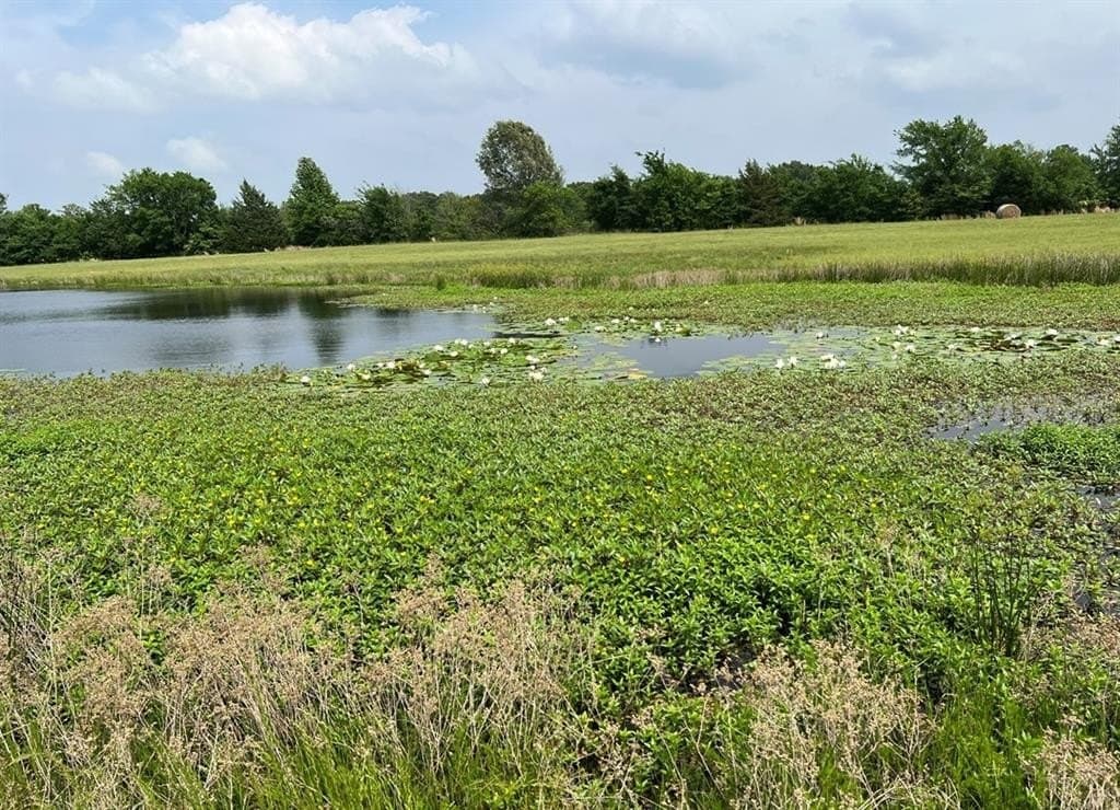 5.84 acres in Wood County gallery image 3