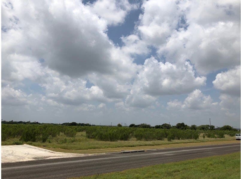 9.74 acres in Nueces County gallery image 2